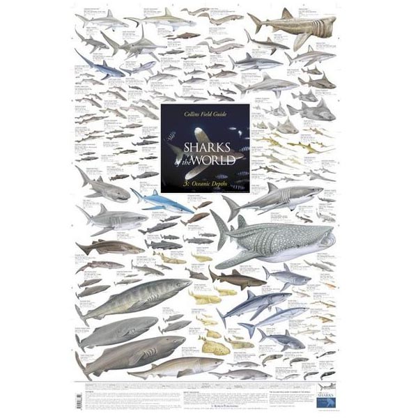 Poster \"SHARKS of the WORLD 3: Oceanic Depths\"